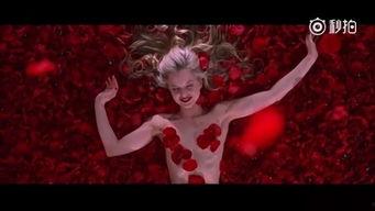 天堂王朝在线视频,揭秘神秘古国的传奇故事