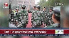 教官直播在线视频网站,打造高效在线学习新平台