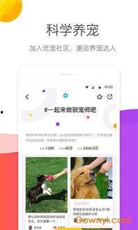 宠优在线视频,揭秘宠物护理与训练的独家秘籍